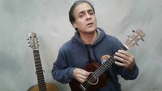 Chacarera la chiquitita melodía en ukulele [upl. by Itirahc]