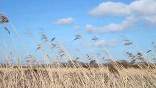 Bogoroditse Devo Rachmaninoff — Choir of Wells Cathedral [upl. by Dorothea]