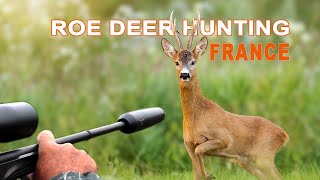 Roe Deer hunting in France  Chasse au Brocard Cheuvreuil en France  2021 [upl. by Nilre]