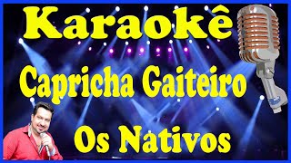 KaraokÃª Capricha gaiteiro  Os Nativos [upl. by Eppilihp140]