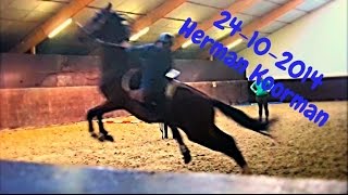 Praktisch met paarden HD Herman Koorman ZADELMAK MAKEN [upl. by Keeton13]