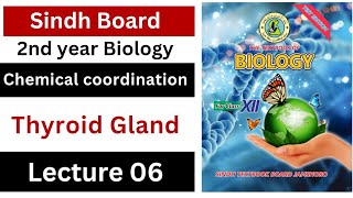 thyroid gland  chemical coordination  class 12 biology Sindh board New book [upl. by Quintana685]