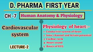 Physiology of heart  CH7  L2  Cardiovascular system  DPharm first year [upl. by Naitsirhk]