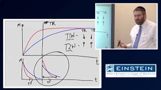 Introducing MRI NMR Contrast 12 of 56 [upl. by Jasper]