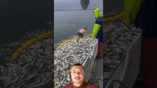 O pescador é corajoso mas poderia não ter acabado bem [upl. by Garbe]