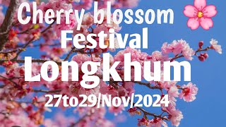 Cherry blossom 🌸 festival longkhum 2024 [upl. by Juanita]