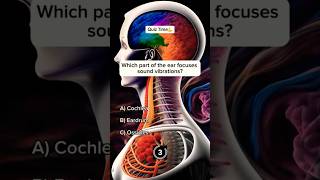 BIO special question ⁉️⁉️⁉️DepthGyan quiz biologyexamanatomybiologyshortsytshorts [upl. by Adierf40]