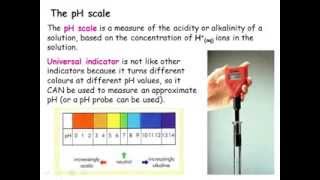 IGCSE Chemistry Acids Bases and Salts [upl. by Arrec800]