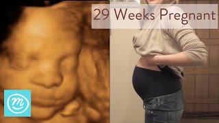 29 Weeks Pregnant What You Need To Know  Channel Mum [upl. by Aicilyhp]