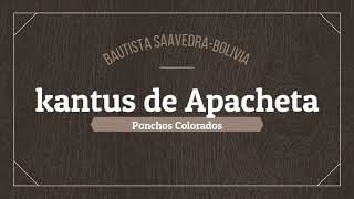 Kantus de Apacheta  Ponchos Colorados Vinilo [upl. by Htebarual]