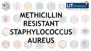 Methicillin Resistant Staphlococcus Aureus Infections [upl. by Shoshana]