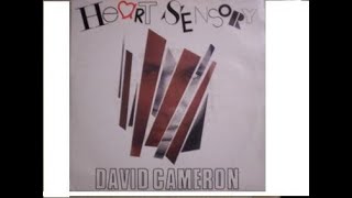 David Cameron  Heart Sensory  Italo Disco 1987 [upl. by Cordalia]