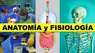 👉 ¿Que es la ANATOMÍA y FISIOLOGÍA humana 🦴🧠👨‍🎓 [upl. by Adnilreb]