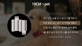 10CM  pet 가사Lyrics [upl. by Ayanahs]