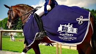 Equerry Bolesworth International Horse Show 2017  Highlights Day 2 [upl. by Hynda]