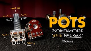 Guitar Potentiometers EP13 Dual Gang [upl. by Fay]