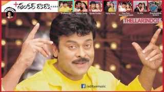 Shankardada M B B S Movie  Full Songs Jukebox  Chiranjeevi Sonali Bindre [upl. by Shatzer]