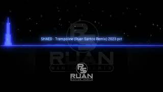 SHAED  TRAMPOLINE RUAN SANTOS REMIX 2023 PVT [upl. by Bearnard]