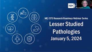 MECFS Research Roadmap Webinar  Lesser Studied Pathologies [upl. by Eittah]