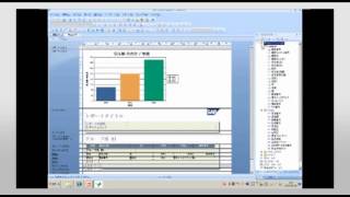 SAP Crystal Reports 2011 デモ レポート作成ウィザード [upl. by Nalrah877]