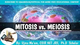 MITOSIS vs Meiosis  what is mitosis and meiosis  difference between Meiosis and mitosis [upl. by Ardehs]