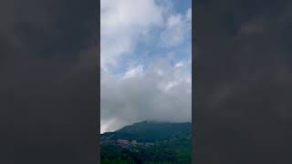 Pahado me mera basera hai ⛰️ ☕️bollywood song music love darjeeling [upl. by Ferrigno835]