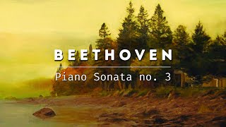 Beethoven – Piano Sonata no 3 [upl. by Klecka]