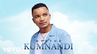 Ntethe  Kumnandi Visualizer [upl. by Nnylahs603]