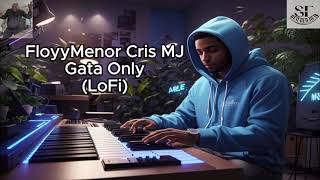 FloyyMenor Cris MJ  Gata Only lofi bomboclaat remake [upl. by Alberto]