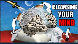 Tariq Nasheed Cleansing Your Mind [upl. by Karsten]