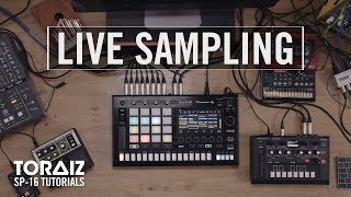 TORAIZ SP16 Tutorials Live Sampling [upl. by Adrienne194]