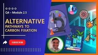 Q4  Module 25  Alternative Pathways to Carbon Fixation [upl. by Breana]