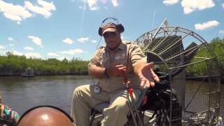 Captain Jacks Airboat Tour  Everglades City Florida with Alligator Sighting [upl. by Coveney]