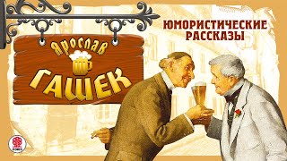 ЯРОСЛАВ ГАШЕК «ЮМОРИCТИЧЕСКИЕ РАССКАЗЫ» Аудиокнига Читают Александр Клюквин Александр Котов [upl. by Leonidas]