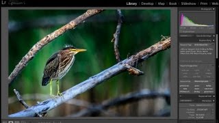 Learn Lightroom 5  Part 12 Loading Images Into Lightroom Training Tutorial [upl. by Ancel]