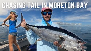 Long Tail tuna  Fishing Moreton Bay  Tangalooma [upl. by Adnamra]