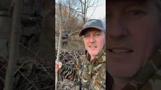 Beaver dam prep work yawtyawt beavers [upl. by Haakon]