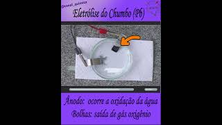 Experimento árvore de chumbo Pb  Eletrólise do chumbo [upl. by Cordie884]