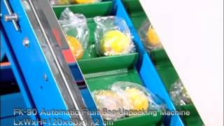 FK 90 Automatic Fruit BagUnpacking Machine from Fong Chow Agricultural Machinery [upl. by Yrdua]