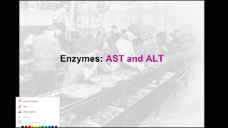 Clinical Chemistry Review Enzymes AST and ALT [upl. by Lyndy304]