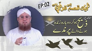 Zibah Ho Kar Dobara Zinda Honay Walay Parinday Ep 02  Aik Qissa Hai Quran Say [upl. by Euginomod424]