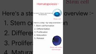 Hematopoiesis 🩸medical science trending viralshort youtube [upl. by Abey]