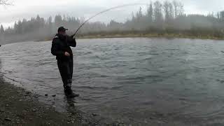 Steelhead Cowlitz River Morning Bite fishing [upl. by Abner]