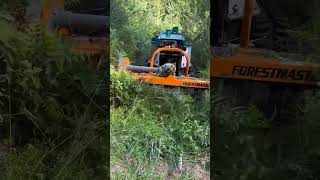 🔥😎 Pfanzelt Moritz with Vandaele Forestmaster 360° heavyduty hammers in action at Demo Forest [upl. by Anertal]