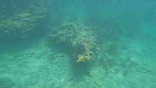 Diving on Western Sambo Reef Florida Keys [upl. by Alegnaoj909]