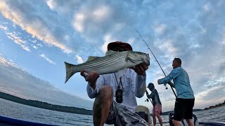 Lake Texoma Striped Bass AKA Striper Pt 2 Capt Cole Put Us On A MASSIVE Boil 2 Fish On 1 Popper [upl. by Wiltshire]