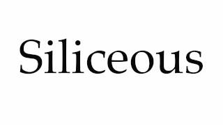 How to Pronounce Siliceous [upl. by Margot]