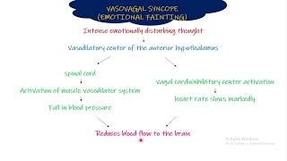 Vasovagal Syncope emotional fainting Chapter 18 part 4 Guyton and Hall Physiology [upl. by Cogswell522]