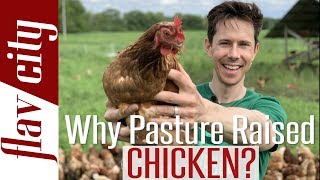 Why You Need To Buy Pasture Raised Eggs amp Chicken  Bobby On The Farm [upl. by Terb]