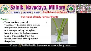 Functions of Body Parts of Plants for Sainik School Entrance Exam  Enunciate Academy 9492444498 [upl. by Lemmuela]